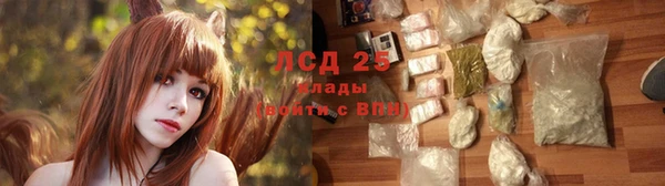 трава Ельня