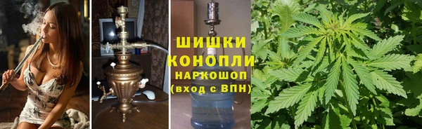 трава Ельня