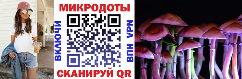Купить где  Суворов  Галлюциногенные грибы ЛСД 