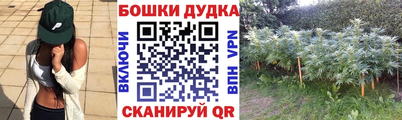 Каннабис Ganja  Купить где  Суворов 